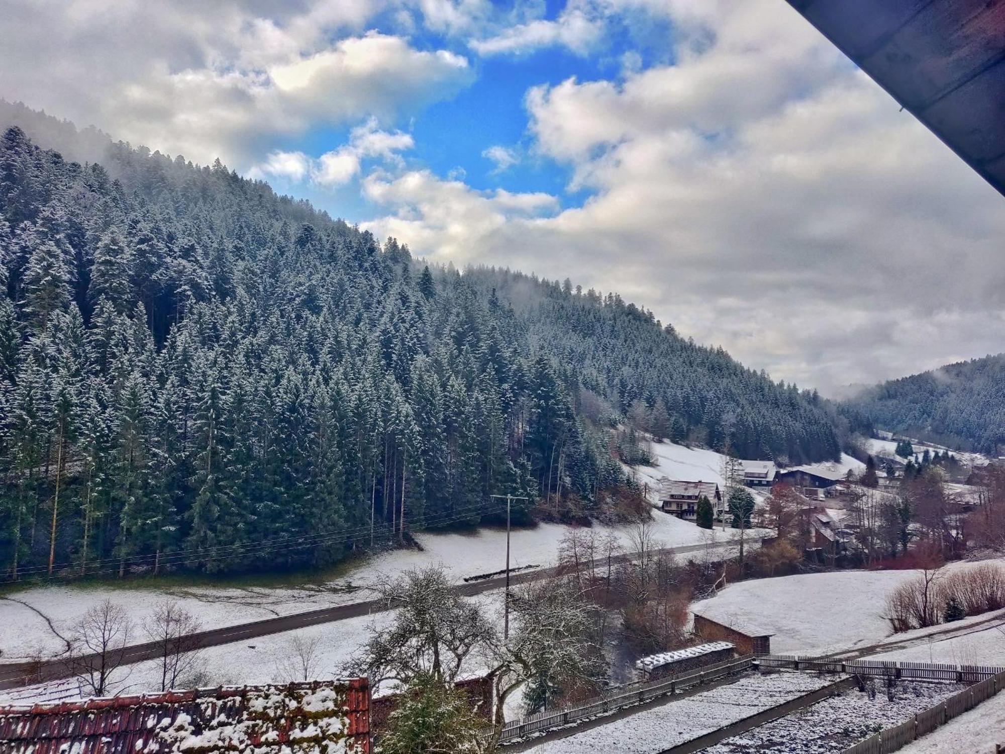 Ferienwohnungen Vogt's Libding Bad Rippoldsau-Schapbach Exterior foto